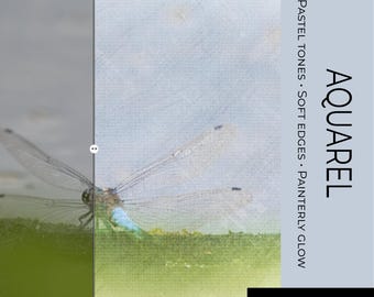 Luminar Neo-presets, aquareleffect fotobewerking, schilderkunstige artistieke filters, digitale download, aquarelle preset voor natuurfotografie