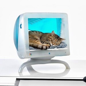 May include: A repurposed vintage Apple iMac computer case transformed into a cat bed. The blue and white computer case houses a sleeping tabby cat on a patterned cushion. The cat bed is elevated on a white stand.