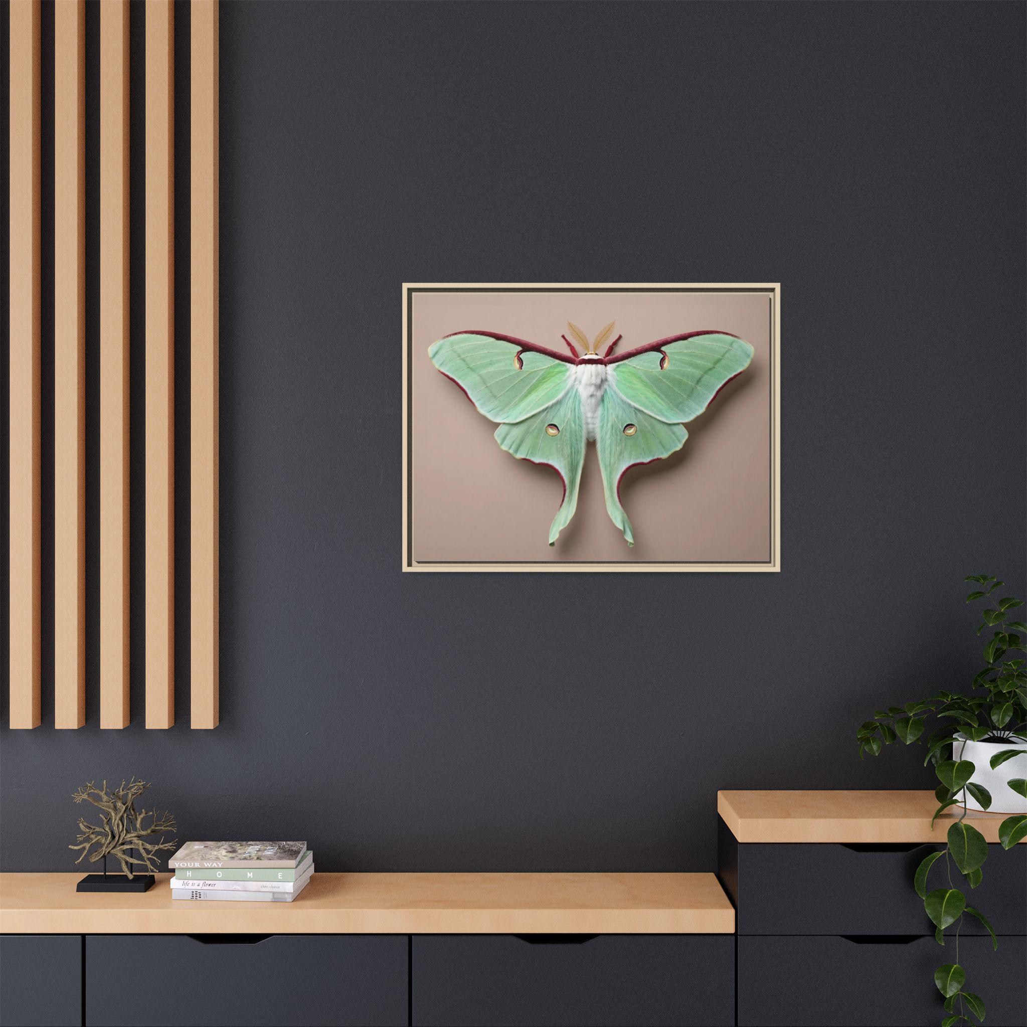 Luna Moth Wall Art Matte Canvas Framed | Green Insect Illustration - Etsy
