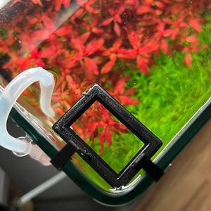 Könnte beinhalten: Eine Aquarienecke mit leuchtend roten und grünen Wasserpflanzen. Ein schwarzer, quadratischer Filterhalter ist am Glas befestigt. Ein klarer, gebogener Schlauch ist ebenfalls vorhanden.