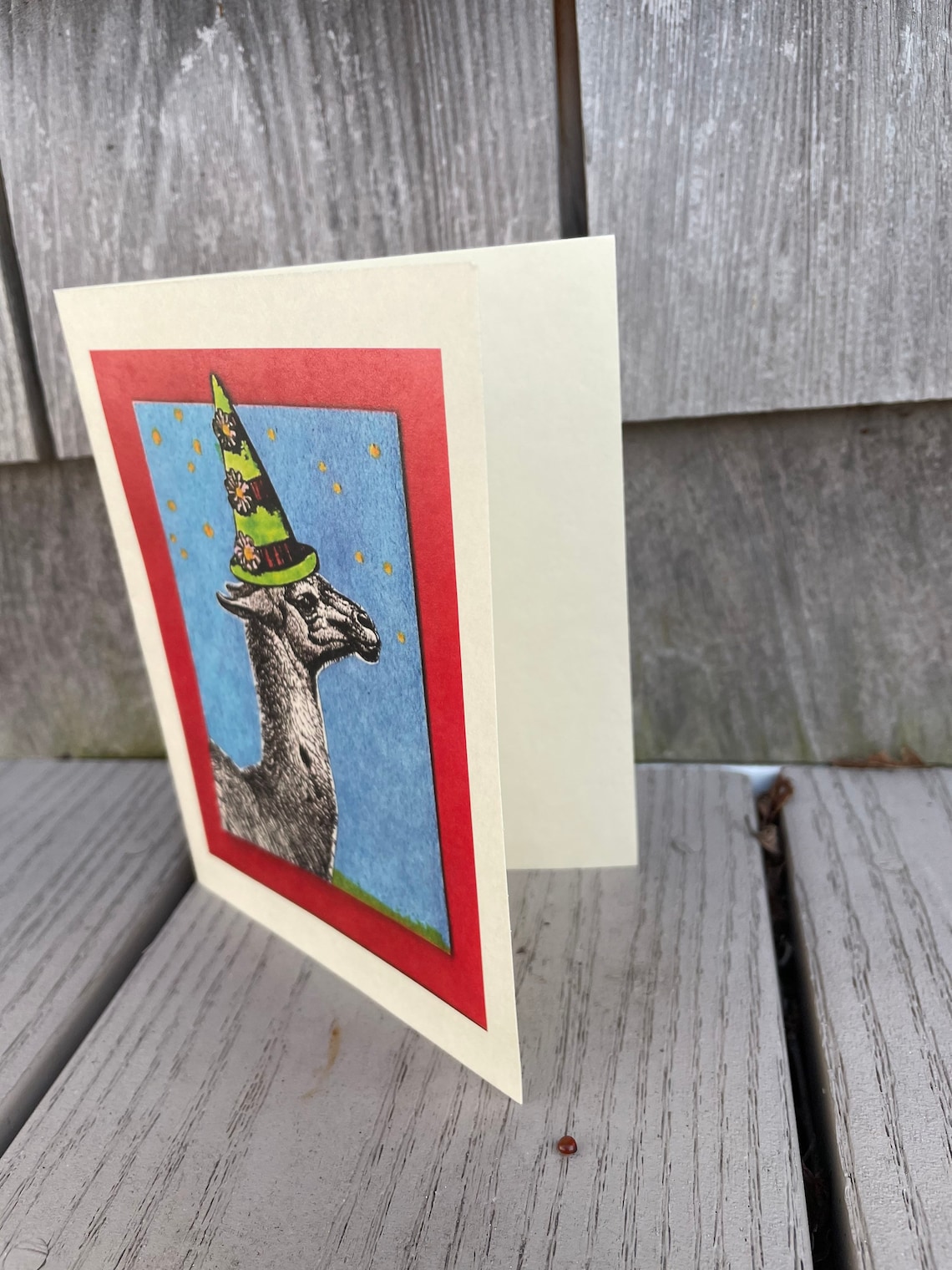 Blank Greeting Card: Party Llama - Etsy