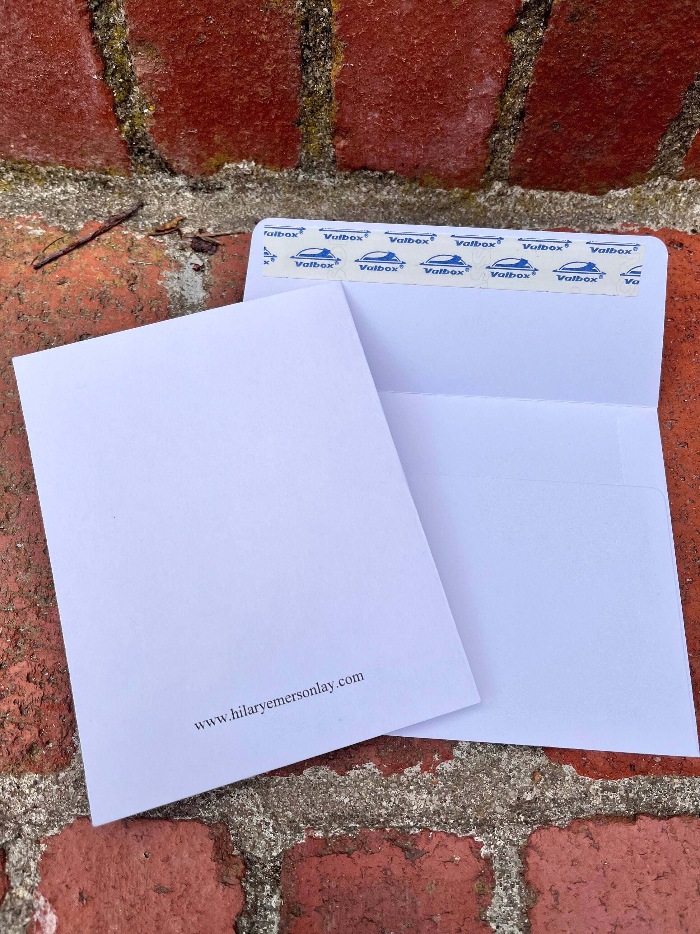 Blank Greeting Card: Party Llama - Etsy
