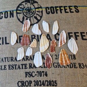 May include: An assortment of seashells in white, tan, and brown, each with a small hole at the top. They are displayed on a burlap sack with printed text and a circular design. The text includes "COFFEES" and "CROP 2024/2025".