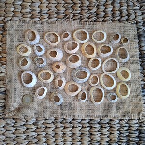 May include: A collection of thirty-five circular, off-white and tan limpet shells arranged on a rectangular piece of hessian. A single silver-coloured coin is positioned in the bottom left corner for scale, measuring approximately 2.3 cm in diameter.