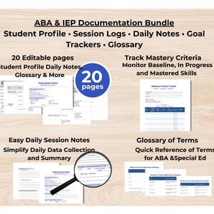 Planificador IEP ABA, formularios para docentes de educación especial, plantilla de Canva (descarga digital)