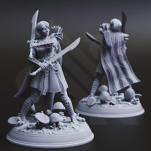 May include: A detailed figurine of a female warrior, holding two swords and a bow and arrow. The figure is wearing armor and a cape, standing on a base with mushrooms. A second figurine is visible in the background.