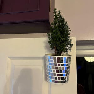 May include: A small evergreen plant in a mosaic-tiled pot. The pot is cylindrical and features a pattern of small, square tiles in shades of blue, purple, and silver. The pot is hanging on a white door.