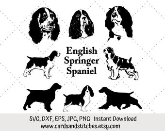 Spaniel SVG - English Spaniel SVG - Springer Spaniel SVG - Digital Cutting File - Cricut Cut - Instant Download - Svg, Dxf, Jpg, Eps, Png