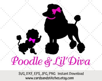 diva poodle collars