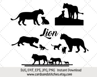 Lion And Cubs Svg Etsy