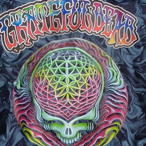 May include: A close-up of a shirt with a colorful skull design. The skull is surrounded by a vibrant, geometric pattern in shades of green, pink, and yellow. The text "Grateful Dead" is arched above the skull in a rainbow of colors against a dark, swirling background.