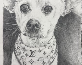 May include: A graphite pencil drawing of a small dog with large, dark eyes and upright ears. The dog is wearing a triangular bandana featuring a repeating pattern of the LV logo and small taco illustrations. The artwork is rendered in black and white.