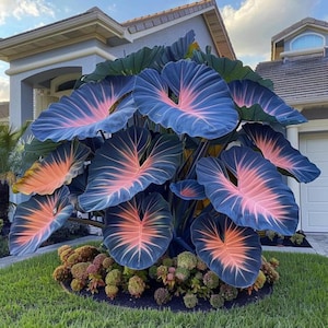 artificial hanging plants outdoors Black Framed Roof Hanging Disc With Draping Faux Plants 15.5"