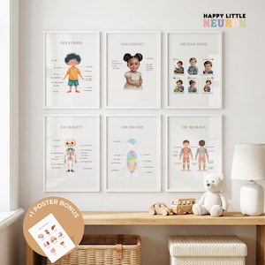 Peut inclure: Six affiches éducatives encadrées illustrant le corps humain, dont le squelette, les organes et les muscles. Les affiches sont en allemand et présentent des schémas légendés. Une affiche bonus avec des dessins anatomiques est incluse. Le texte "HAPPY LITTLE NEURON" est dans le coin supérieur droit.