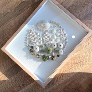 緑の貝殻のシャドーボックスに描かれた海の宝物