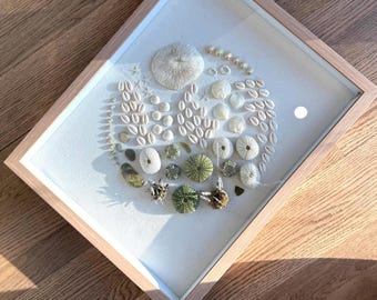 Sea treasures on green seashell shadow box