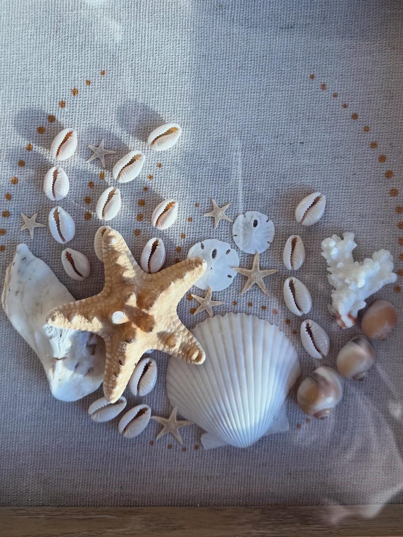 May include: A collection of seashells, including a large starfish, cowrie shells, and a large white scallop shell. The arrangement includes small starfish, sand dollars, and coral on a neutral linen background.