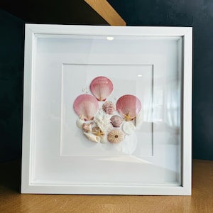 Pink shells shadow box
