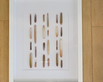 Urchin spines shadow box