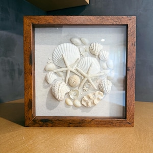 Könnte beinhalten: Ein quadratisches, gerahmtes Kunstwerk mit einer Anordnung weißer Muscheln und Seesterne auf hellem Stoff. Der Rahmen besteht aus dunkelbraunem Holz. Die Anordnung umfasst verschiedene Muschelformen und -größen und schafft ein maritimes Thema.