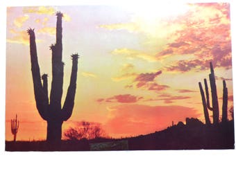 Vintage Desert Sunset Postcard Cactus Postcard Desert Landscape Postcard Kodachrome Postcard Vintage Postcard Arizona