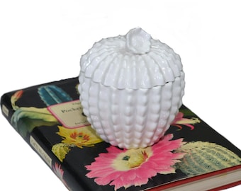 Vintage Spode Cactus Jar Spode Jam Pot Spode Jelly Jar White Bone China Honey Pot Condiment Jar