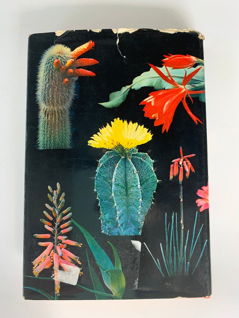 Vintage Cactus Book Pocket Encyclopedia of Cacti Hardcover Etsy