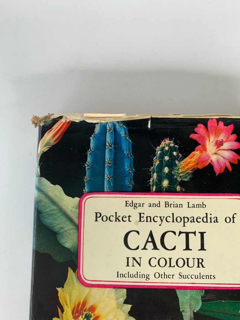 Vintage Cactus Book Pocket Encyclopedia of Cacti Hardcover Etsy