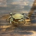 Vintage Brass Crab Brass Crab Ashtray Crab Trinket Box Crab Figurine Nautical Ashtrays Tobacciana 