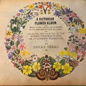 Vintage A Victorian Flower Album Book Vintage Flower Prints