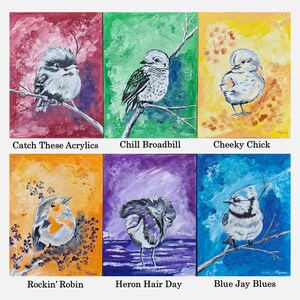 May include: Six acrylic paintings of birds on colorful backgrounds. Top row: Catch These Acrylics, Chill Broadbill, Cheeky Chick. Bottom row: Rockin' Robin, Heron Hair Day, Blue Jay Blues. Each painting features a bird in a distinct setting.