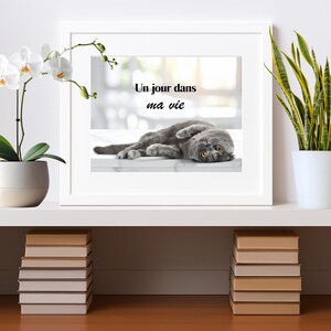 Plakat z kotem zen z humorystycznym cytatem (1) - Dzień z mojego życia - Dekoracja przestrzeni relaksacyjnej - Humorystyczna grafika do druku - 4 proporcje obrazu