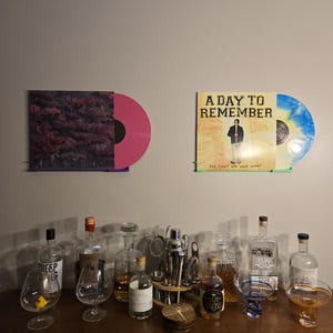 Record wall mounts