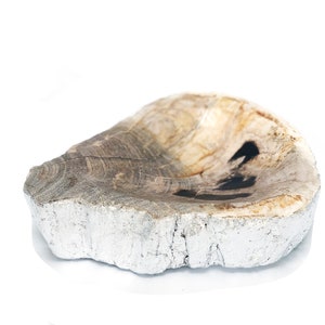 Petrified Wood Dish, petrified wood bowl, bohemian decor, crystal bowl, geode, Fathers Day Gift, Valentines Gift, Gift for her