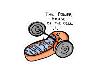 Mitochondriën doodle kiss-cut stickers | Krachtpatser van de cel