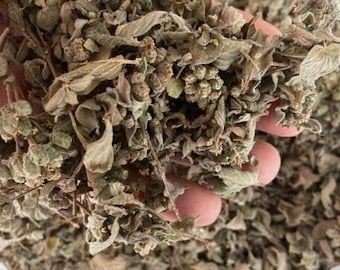 Authentic Lebanese Organic Wild Thyme – Pure Dried Zaatar Leaves – Premium Quality Herb