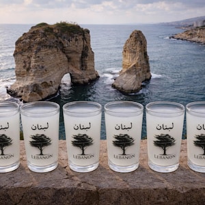Set of 6 Lebanese Cedar Tree Shot Glasses – Lebanon Souvenir Arak Cups Clear Glass