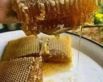 Premium Organic Raw Oak Honeycomb – 1kg Pure Honeycomb from Lebanese Oak Forests