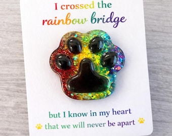 Paw Print Pocket Hug, Pet Memorial Gift, Rainbow Bridge, Pet loss, Resin Keepsake