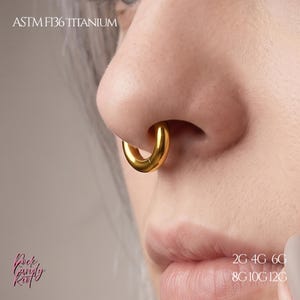 Peut inclure: Un anneau de septum circulaire doré en titane ASTM F136. Ce bijou est un cerceau lisse et poli porté au nez. Le texte sur l'image indique ASTM F136 TITANIUM et liste les calibres 2G, 4G, 6G, 8G, 10G et 12G. La marque Rock Candy Riot est visible.