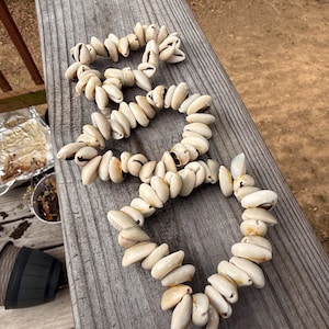 Braccialetto di conchiglie di ciprea