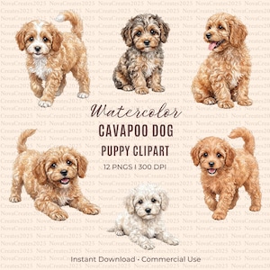 Puede incluir: Una colección de ilustraciones en acuarela que muestran cinco cachorros Cavapoo en varias posturas, incluyendo de pie, sentados y tumbados. El texto dice Watercolor CAVAPOO DOG PUPPY CLIPART 12 PNGS I 300 DPI Instant Download Commercial Use.