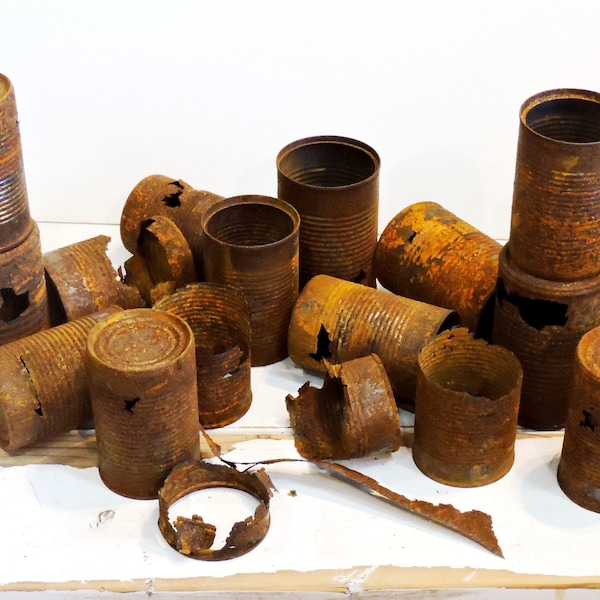 Distressed Rusted Tin Can Pieces, Rusty Recycled Broken Salvaged Metal for Art Sculpture Supplies or Rustic Movie Photo Props itsyourcountry