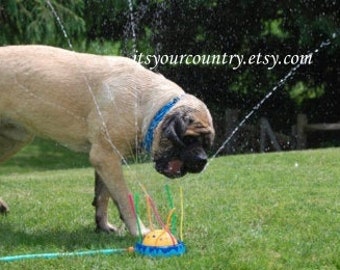 Custom Dog Cooling Collar Size 2XL fits 26-30" neck Adjustable Buckle Extra Large Dog Mastiff Saint Bernard Cool Neck Wraps itsyourcountry