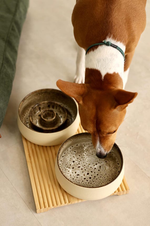 SlowFeeder Ceramic Pet Bowl – Handmade Stoneware Dog & Cat Dish