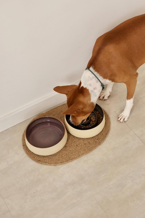 Handmade Ceramic Pet Bowl | Heavy Portuguese Stoneware | Handmade pottery