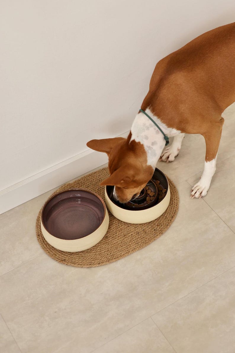 May include: Two round ceramic pet bowls with cream-coloured exteriors and dark purple interiors. One bowl is plain, while the other features a central raised obstacle for slow feeding. The bowls sit on an oval-shaped, woven natural fibre mat.