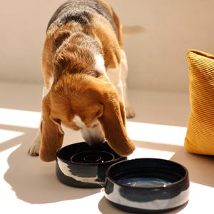 May include: A tricolor beagle dog eating from a round, black ceramic slow feeder bowl with a raised interior pattern, positioned next to a second matching black ceramic bowl filled with water and a yellow corduroy fabric item nearby.
