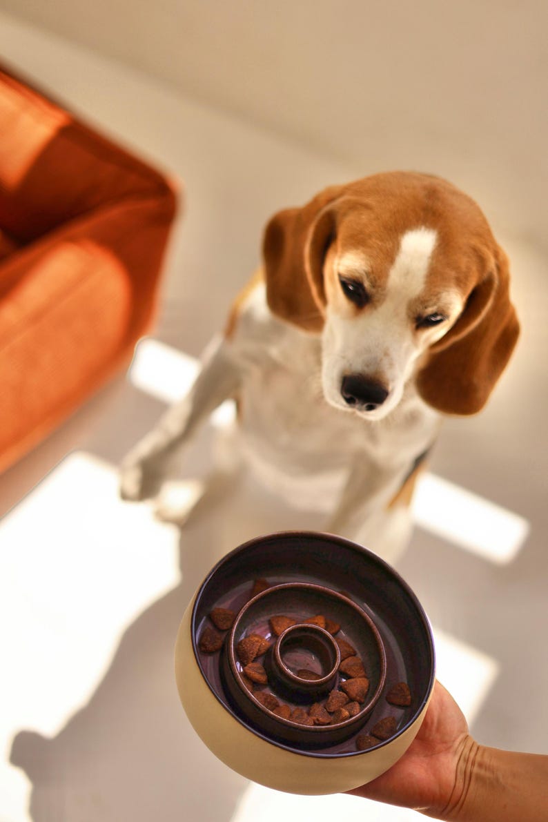 May include: A round, two-toned ceramic slow feeder bowl with a dark purple interior and a light beige exterior. The bowl features a raised, circular center ridge designed to slow down eating, containing small, brown, triangular dry pet food kibble.