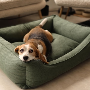 Può includere: Una cuccia rettangolare per animali domestici con rivestimento in tessuto a coste verde oliva scuro, dotata di bordi rialzati e imbottiti e una base piatta. Un cane beagle tricolore dal pelo marrone, nero e bianco riposa all'interno.